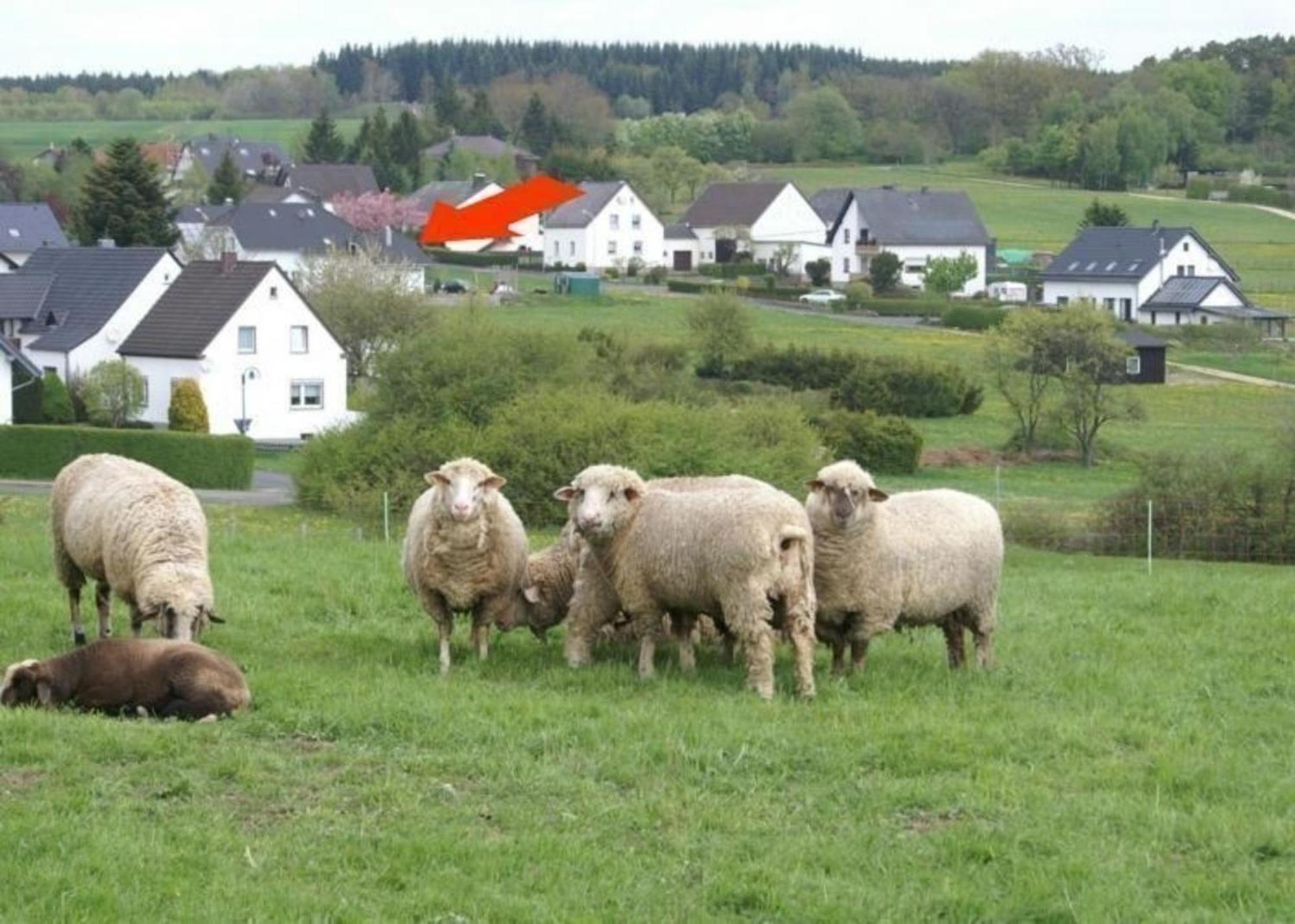 Gemuetliche Maisonette Wohnung Seelenblick Berndorf  Esterno foto